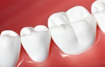 Model of Healthy Teeth and Gums Atlanta GA